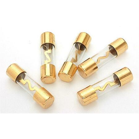 XSCORP 100 Amp Agu Fuses Gold Ends, 5PK AGU100G